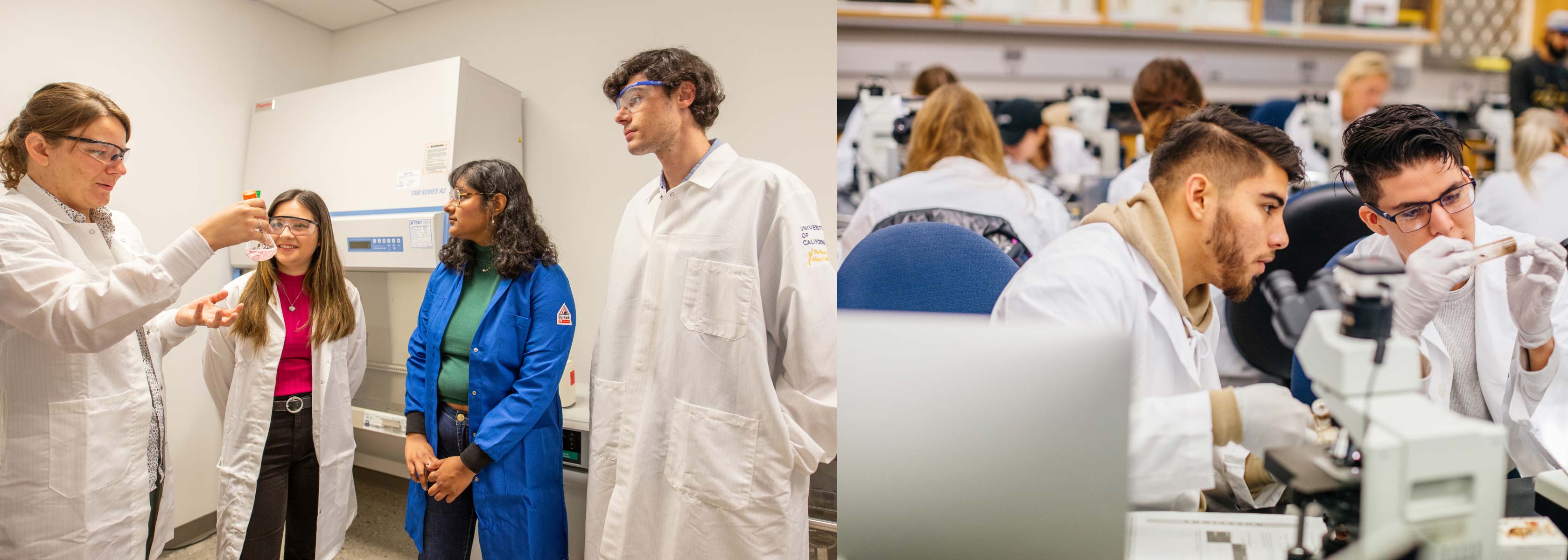 Students in a lab.